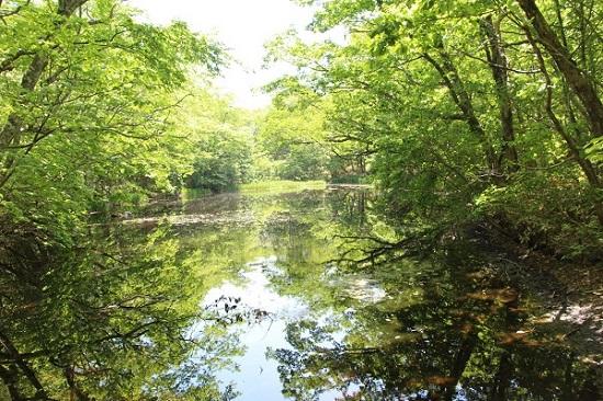 写真５平伏沼（へぶすぬま）.jpg