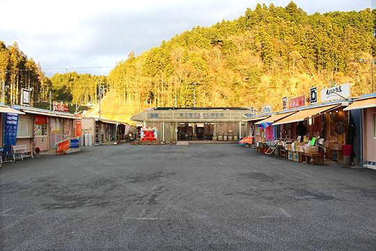 センターコートもあり、地域住民の憩いの場となっています