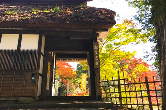 11月初旬は紅葉が見事なのだとか