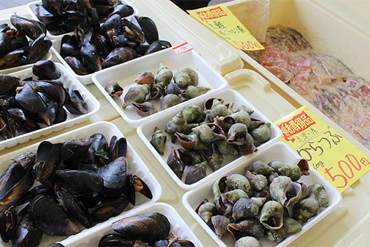 新鮮な海産物や南三陸の特産品