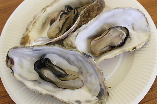 新鮮な海産物や南三陸の特産品