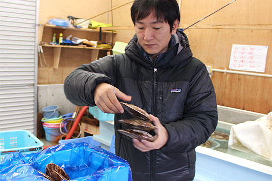 ホタテも水揚げ後ここに保管されます