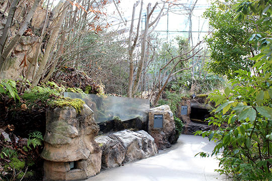 福島の水辺の植生をダイナミックに再現