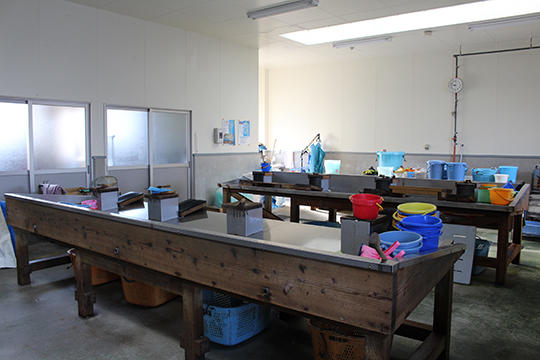 牡蠣剥き小屋。この日はお休みでしたが、作業風景を見せてもらえる日もあるそうです