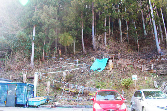 宝来館の裏手にある山